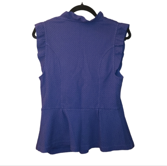 2/$50 Anthropologie 9-HI5 STCL Sleeveless Blue Top - Picture 2 of 8
